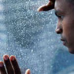 New Brain Studies That Fascinated Us