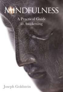 Mindfulness, a Practical Guide to Awakening, by Joseph Goldstein