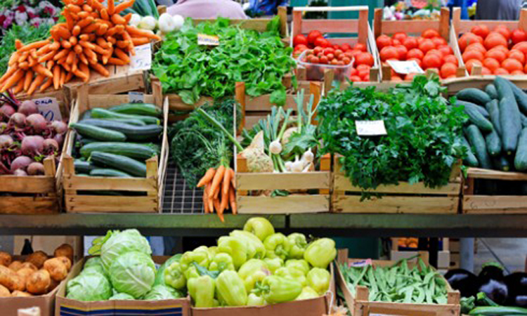 Food for Thought—and Action!