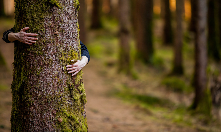 Tree-hugger