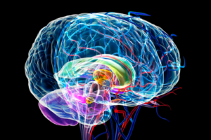 anxious_brain_500