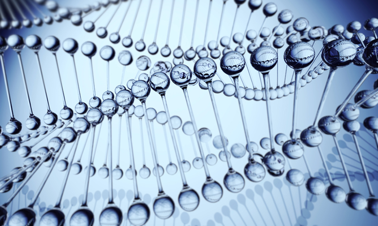 The Gene Therapy Plan: Taking Control of Your Genetic Destiny with Diet and Lifestyle