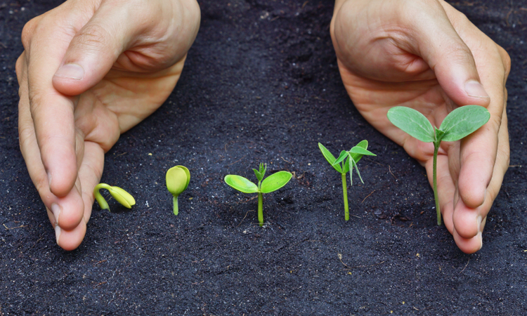 How to Be Yourself: 3 Ways To Create New Growth