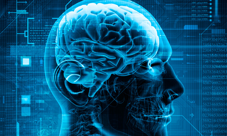 Brain Scans Predict Our Behavior Better Than We Can