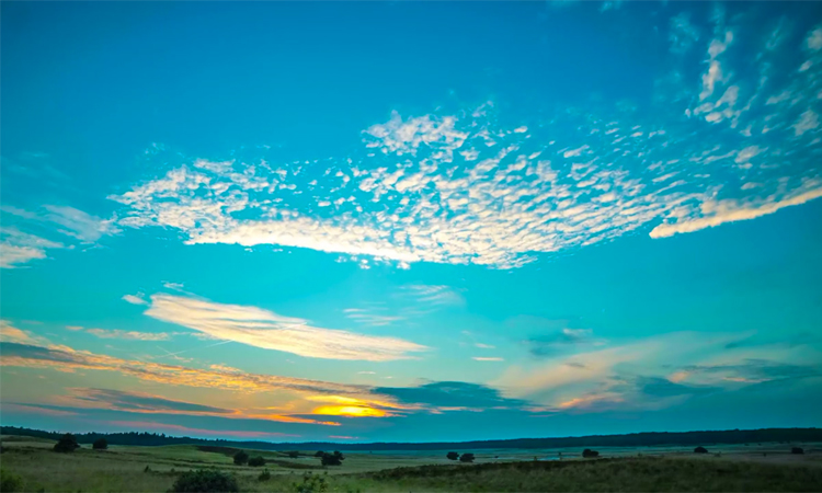 Guided Meditation by Rose: Practice An Attitude of Gratitude To Attract What You Want