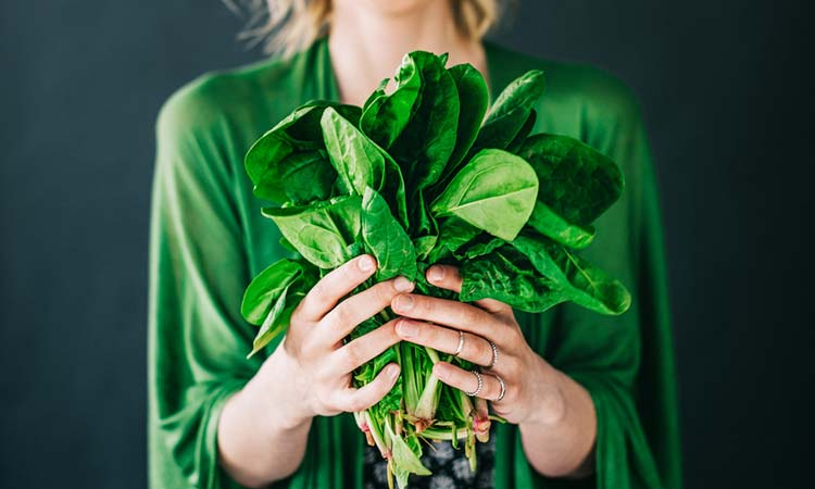Top 13 Foods That Lower Blood Pressure