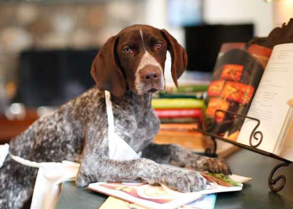 Waldo’s Wisdom: Cooking For Your Dog