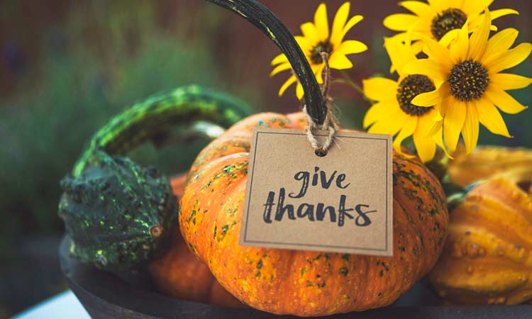 20 Gratitude Quotes To Inspire You This Thanksgiving